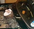 DSC01946